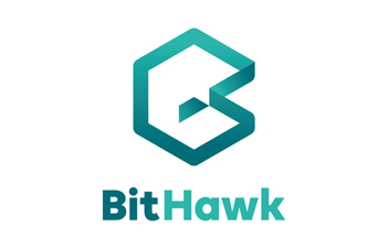 Bit Hawk Logo